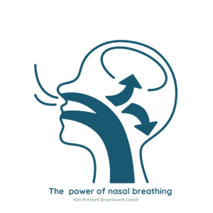 Breathing through your nose is a remarkably powerful practice.