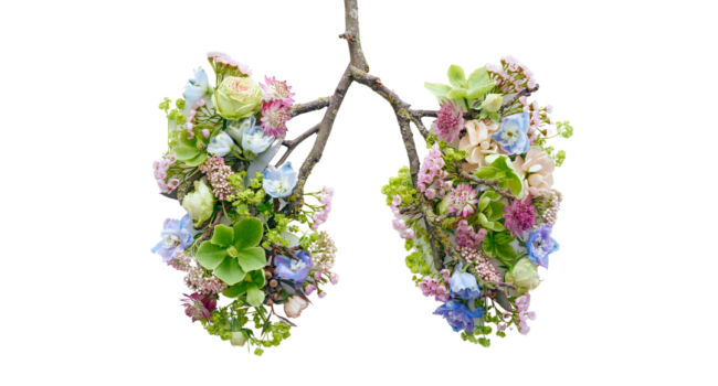 Breathing stimulate your Vagus Nerve